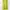 kulot lime wanita brand new photo 1