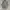 jacket parka vintage art avant garde photo 1