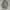Jacket Parka Vintage Art Avant Garde
