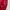 JOGER MLB photo 3