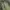 LONGPANTS FATIGUE RELAXED GRAMICCI ARMY photo 4