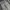 LONGPANTS BAGGY FIT DOUBLEKNEE TRIPLE J photo 2
