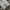 LONGPANTS BAGGY FIT DOUBLEKNEE TRIPLE J photo 3