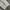 LONGPANTS BAGGY FIT 66GIRLS photo 4