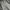 LONGPANTS BAGGY FIT 66GIRLS photo 2