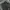 LONGPANTS BALLON FIT DARK GREY photo 4