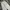 LONGPANTS SWEATPANTS BAGGY FIT XEROBNR photo 4