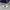 Dickies Velvet Crewneck Grey photo 5