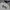 Dickies Velvet Crewneck Grey photo 2