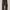 Dickies 874 dark brown photo 1