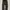 Dickies 874 dark brown photo 2