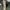 Starbucks City Tumbler Italy photo 1
