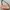 Nine West | Bags |  Nine West Small Handbag photo 1
