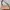Nine West | Bags |  Nine West Small Handbag