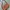 Nine West | Bags |  Nine West Small Handbag photo 3