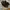 Clarks sandals leather  photo 1