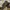 Clarks sandals leather  photo 5