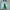 Adidas Sportswear Pria multicolor photo 4