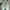 Adidas Sportswear Pria multicolor photo 2