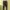 Kodak Kodacolor Men's Washed Knit Cargo Jogger Pants