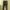 Kodak Kodacolor Men's Washed Knit Cargo Jogger Pants