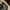 Coca Cola Main Street Embroidered Trucker Caps photo 7