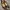 Lucca Vudor heels  photo 1