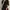 Mian korean lace vintage mini dress  photo 1