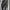 Timberland Casual Sneakers Pria white black photo 6
