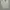 Ralph Lauren Polo Men's Long Sleeve Shirt  photo 1