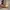 Timberland boost size 38 photo 3