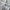 Tommy Hilfiger Men's Long Sleeve Button Down Shirt  photo 5