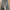 Intempomood Baggy Jeans 3Striped photo 1