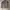 tracktop fila  photo 2