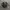 Everlast Bagpack vintage photo 1