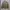 Jeanasis Boxyfit Bomber Jacket photo 2