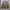Jeanasis Boxyfit Bomber Jacket