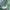 HUGO BOSS Men's Green Shirt - Regular Fit photo 5