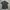 CP Company Polo Shirt photo 1