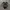 Guess Bagpack