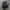 Guess Bagpack photo 3