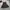 Liz Lisa Lolita Babydoll dress Wanita black photo 4