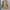 Glenmist Coat Blazer Jacket photo 2