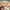 CARGO PANTS BAGGY - TALLY WEIJL photo 5