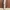 CARGO PANTS BAGGY - TALLY WEIJL photo 2