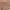Carhartt pocket t-shirt Tan photo 5