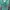 Luxury Prom dress Wanita green photo 4