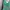Luxury Prom dress Wanita green photo 3
