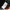 Le Coq Sportif Streetwear Sportswear Sweatpants & Joggers Pria black photo 7