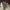 Qna size 3 photo 3
